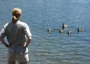 Ashe watched the ducks.